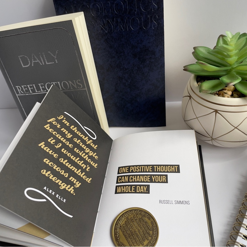 AA Gift Set ✦ Softcover Big Book + Daily Reflections + Shit Happens + REAL 12-Yr - Picture 6 of 9